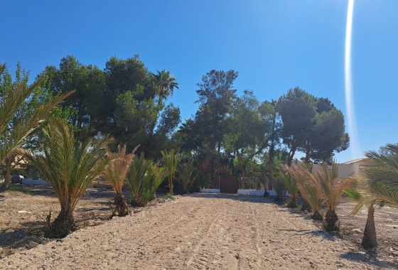 Rynek Wtórny - Willa - Orihuela Costa - Orihuela