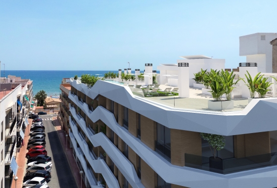 Obra nueva - Apartamento / piso - Guardamar del Segura - Guardamar Playa