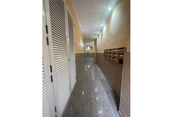 Resale - Apartment / flat - Torrevieja - Torrevieja City Center