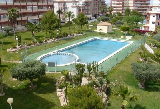 Resale - Apartment / flat - Torrevieja - Torreblanca