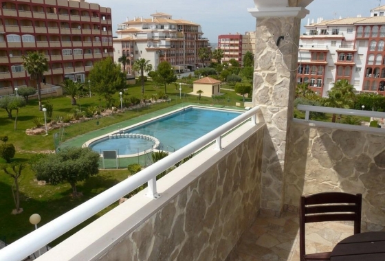 Rynek Wtórny - Apartament - Torrevieja - Torreblanca