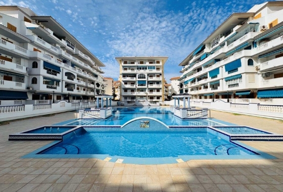 Resale - Apartment / flat - La Mata