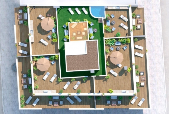 New Build - Apartment / flat - Torrevieja - Torrevieja - Playa de los Locos