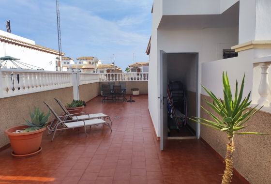 Obra nueva - Bungalow - Torrevieja - Punta prima