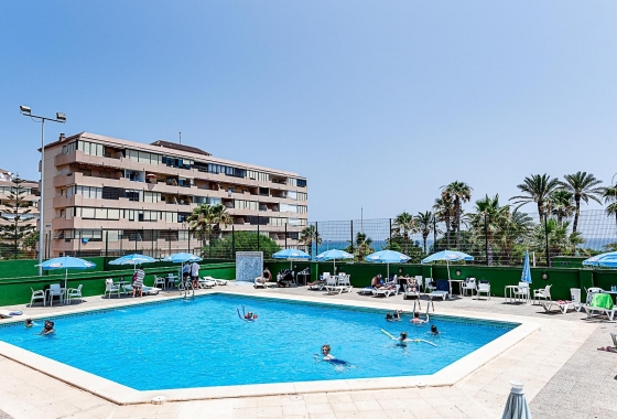 Rynek Wtórny - Apartament - Torrevieja - Torreblanca