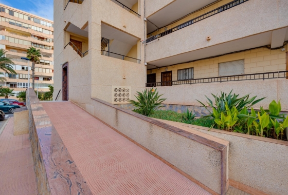 Rynek Wtórny - Apartament - Torrevieja - Torreblanca