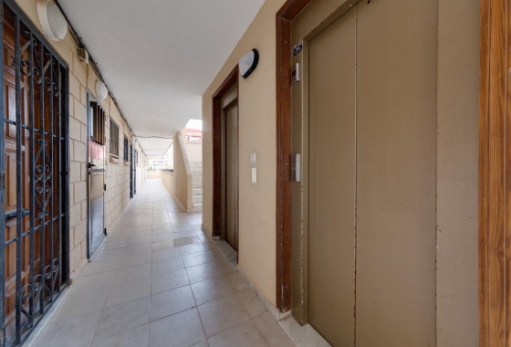 Rynek Wtórny - Apartament - Torrevieja - Torreblanca