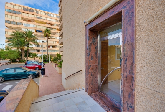 Rynek Wtórny - Apartament - Torrevieja - Torreblanca