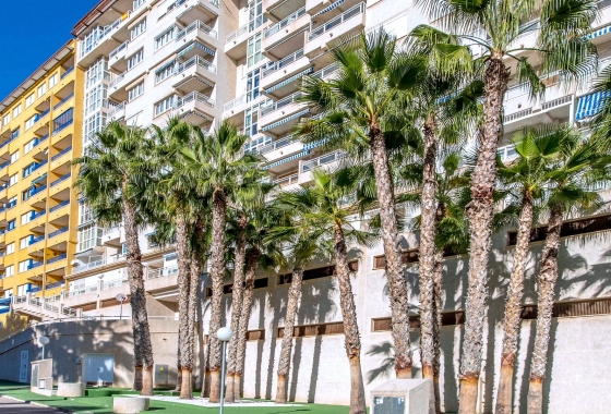 Rynek Wtórny - Apartament - Orihuela Costa - Campoamor