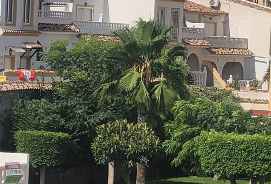 Rynek Wtórny - Dom - Santa Pola - Gran Alacant