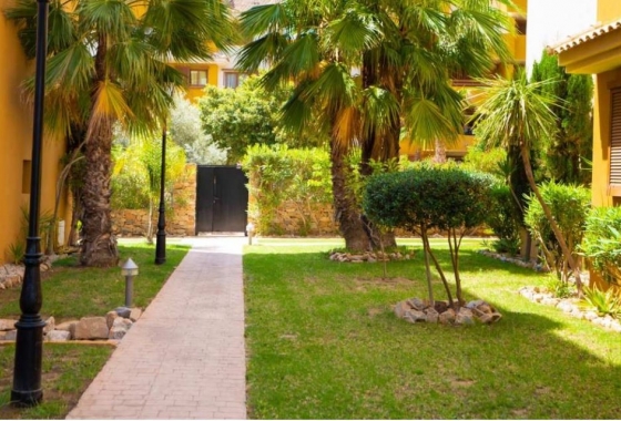 Reventa - Ático - Punta Prima