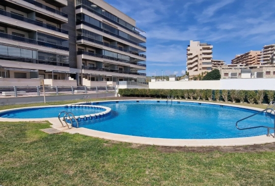 Rynek Wtórny - Apartament - Arenales del Sol - Arenales