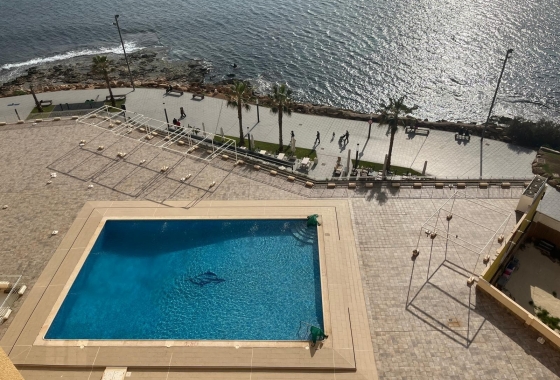 Rynek Wtórny - Apartament - Torrevieja - Playa del Cura
