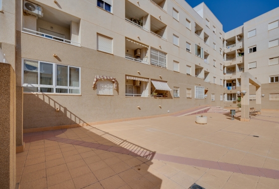 Rynek Wtórny - Apartament - Torrevieja - Centrum