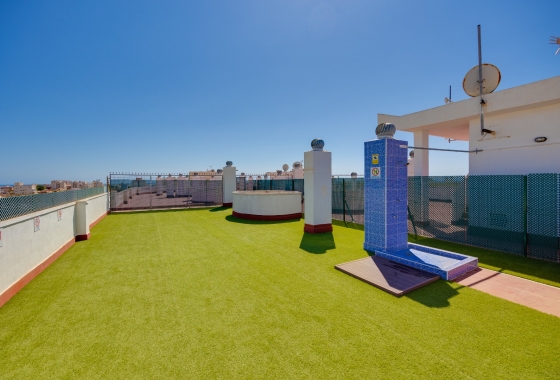 Rynek Wtórny - Apartament - Torrevieja - Centrum