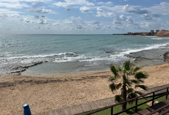 Rynek Wtórny - Apartament - Torrevieja - Torreblanca