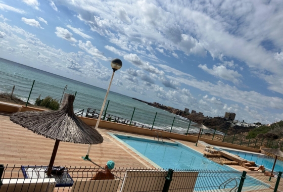 Rynek Wtórny - Apartament - Torrevieja - Torreblanca