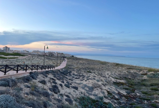 Resale - Apartment / flat - La Mata