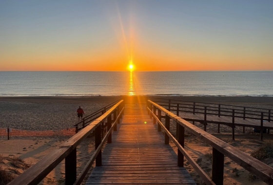 Resale - Apartment / flat - La Mata