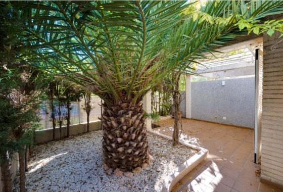 Rynek Wtórny - Bliźniak - Torrevieja - Torreblanca