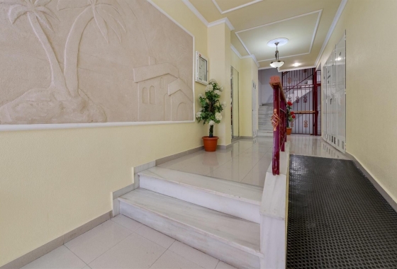 Rynek Wtórny - Apartament - Torrevieja - Playa del Cura