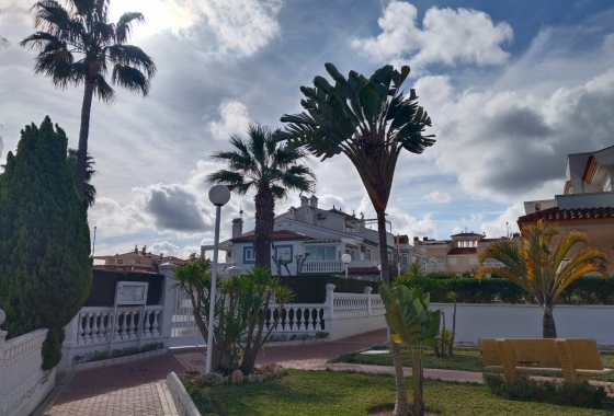 Rynek Wtórny - Bungalow - Orihuela Costa - La Zenia