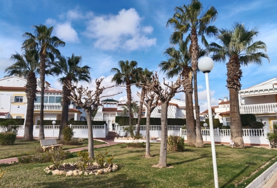 Rynek Wtórny - Bungalow - Orihuela Costa - La Zenia