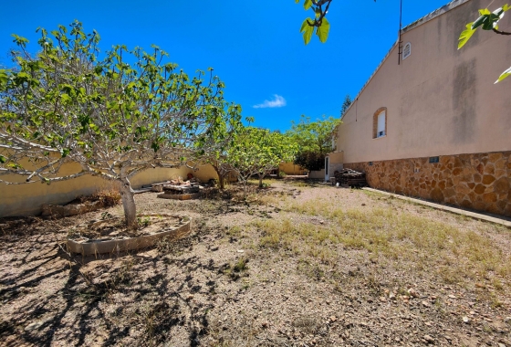 Rynek Wtórny - Willa - Torrevieja - Nueva Torrevieja - Aguas Nuevas