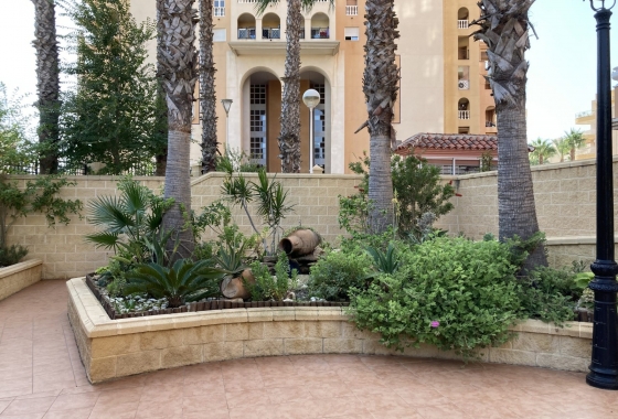 Rynek Wtórny - Apartament - Torrevieja - Playa de los Locos