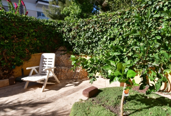 Rynek Wtórny - Bliźniak - Orihuela Costa - La Zenia