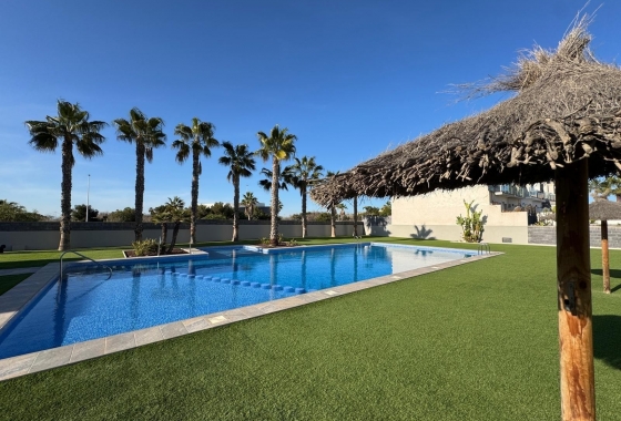 Rynek Wtórny - Bliźniak - Torrevieja - Nueva Torrevieja - Aguas Nuevas