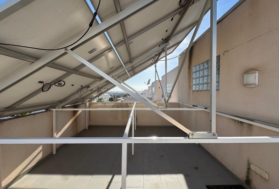 Rynek Wtórny - Bliźniak - Torrevieja - Nueva Torrevieja - Aguas Nuevas