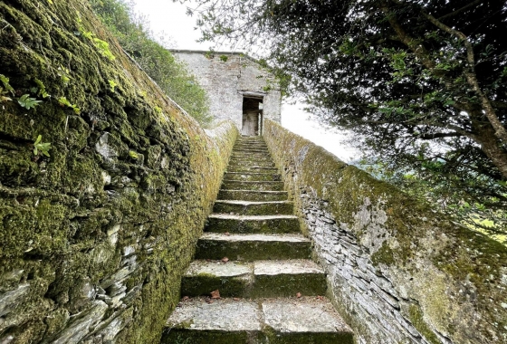 Rynek Wtórny - Pałac - San Isidro