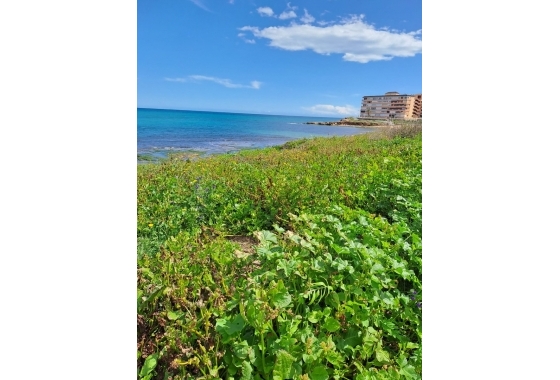 Deweloperskie - Apartament - Torrevieja - Nueva Torrevieja - Aguas Nuevas