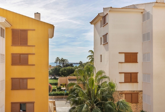 Reventa - Apartamento / piso - Punta Prima