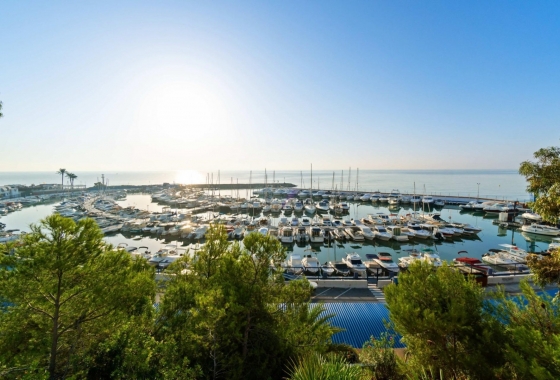 Rynek Wtórny - Apartament - Alicante - Campoamor