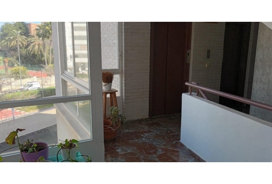 Reventa - Apartamento / piso - San Juan de Alicante