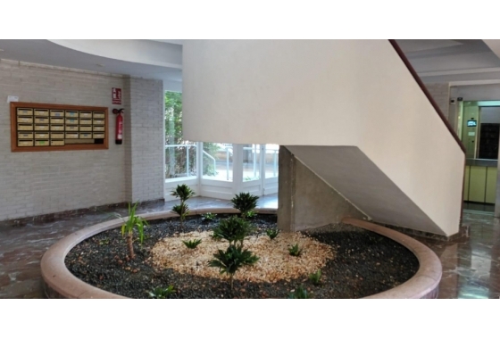 Reventa - Apartamento / piso - San Juan de Alicante