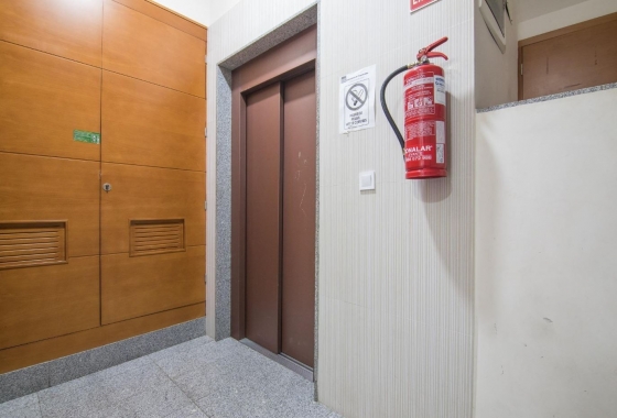 Rynek Wtórny - Apartament - Elche - Center