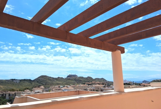 Rynek Wtórny - Apartament - Vera