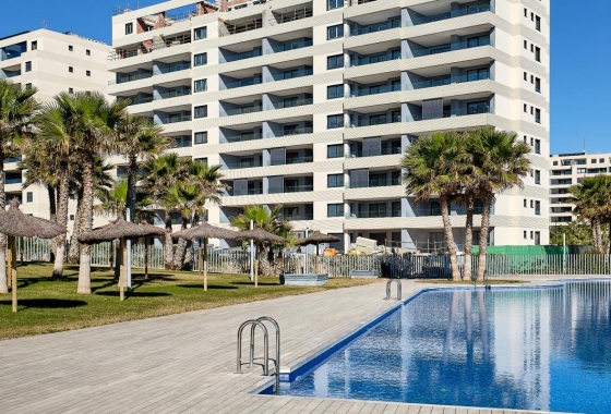 Rynek Wtórny - Poddasze - Punta Prima