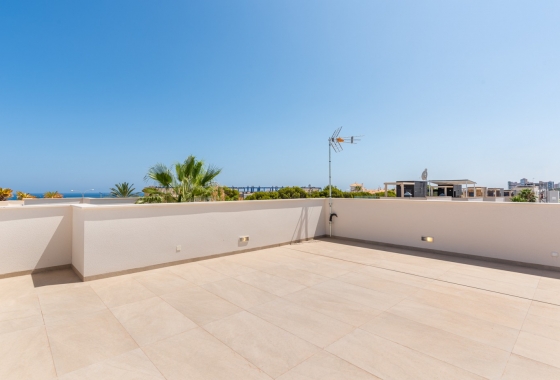 Obra nueva - Villa - Orihuela Costa - Dehesa de campoamor