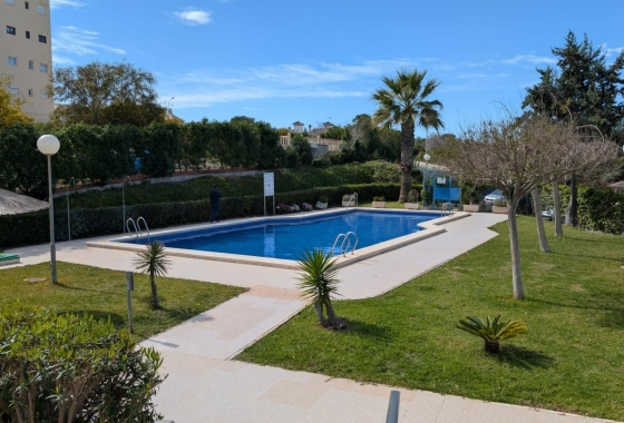 Resale - Studio - Torrevieja - Torre la mata