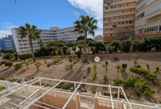 Resale - Studio - Torrevieja - Torre la mata