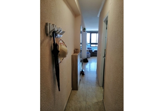 Rynek Wtórny - Apartament - Torrevieja - Torrelamata - La Mata