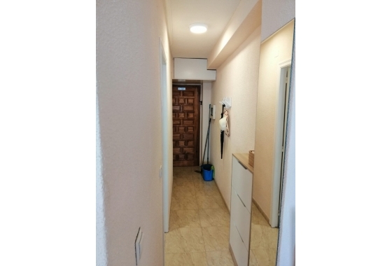Rynek Wtórny - Apartament - Torrevieja - Torrelamata - La Mata