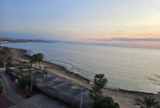 Rynek Wtórny - Apartament - Torrevieja - Torrelamata - La Mata