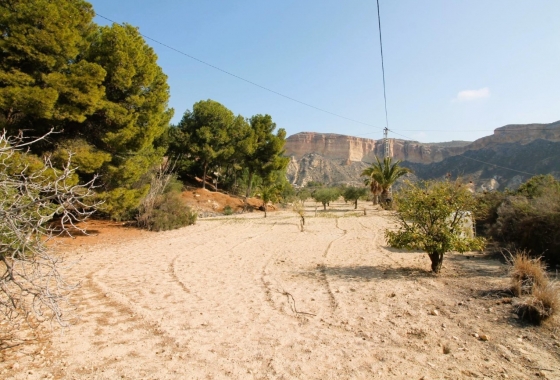 Rynek Wtórny - Wiejski dom - Crevillente