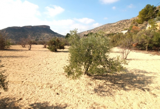 Rynek Wtórny - Wiejski dom - Crevillente