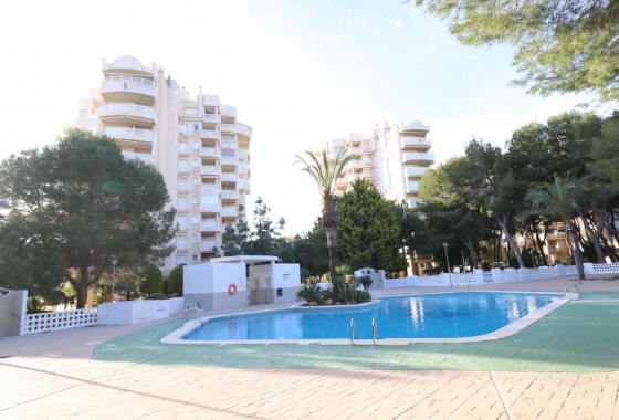 Rynek Wtórny - Apartament - Alicante - Campoamor